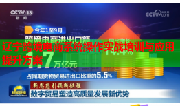 遼寧跨境電商系統(tǒng)操作實戰(zhàn)培訓與應(yīng)用提升方案