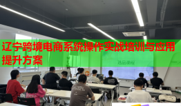 遼寧跨境電商系統(tǒng)操作實戰(zhàn)培訓與應(yīng)用提升方案