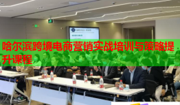 哈爾濱跨境電商營銷實(shí)戰(zhàn)培訓(xùn)與策略提升課程