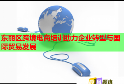 東麗區(qū)跨境電商培訓助力企業(yè)轉(zhuǎn)型與國際貿(mào)易發(fā)展