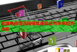 跨境電商培訓(xùn)規(guī)模發(fā)展現(xiàn)狀與未來趨勢分析