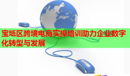 寶坻區(qū)跨境電商實操培訓(xùn)助力企業(yè)數(shù)字化轉(zhuǎn)型與發(fā)展