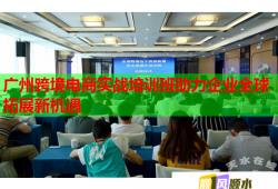 廣州跨境電商實(shí)戰(zhàn)培訓(xùn)班助力企業(yè)全球拓展新機(jī)遇