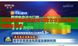 深圳跨境電商實戰(zhàn)培訓(xùn)助力企業(yè)快速開拓國際市場