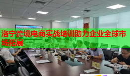 洛寧跨境電商實戰(zhàn)培訓(xùn)助力企業(yè)全球市場拓展