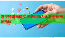 洛寧跨境電商實戰(zhàn)培訓(xùn)助力企業(yè)全球市場拓展