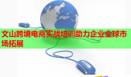 文山跨境電商實(shí)戰(zhàn)培訓(xùn)助力企業(yè)全球市場(chǎng)拓展