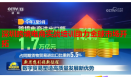 深圳跨境電商實(shí)戰(zhàn)培訓(xùn)助力全球市場(chǎng)開拓