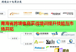 青海省跨境電商實戰(zhàn)培訓(xùn)提升技能與市場開拓