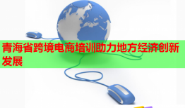 青海省跨境電商培訓(xùn)助力地方經(jīng)濟創(chuàng)新發(fā)展