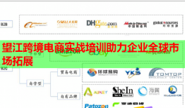 望江跨境電商實(shí)戰(zhàn)培訓(xùn)助力企業(yè)全球市場(chǎng)拓展