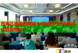 西青區(qū)跨境電商線上培訓(xùn)助力企業(yè)數(shù)字化轉(zhuǎn)型提升