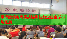 平潭跨境電商實戰(zhàn)培訓(xùn)助力企業(yè)全球市場拓展