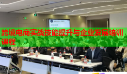 跨境電商實(shí)戰(zhàn)技能提升與企業(yè)發(fā)展培訓(xùn)課程