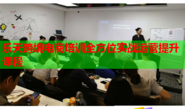 樂天跨境電商培訓全方位實戰(zhàn)運營提升課程