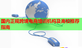國內(nèi)正規(guī)跨境電商培訓(xùn)機(jī)構(gòu)及高校推薦指南