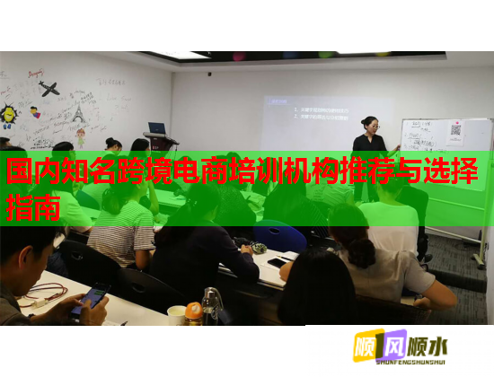 國(guó)內(nèi)知名跨境電商培訓(xùn)機(jī)構(gòu)推薦與選擇指南