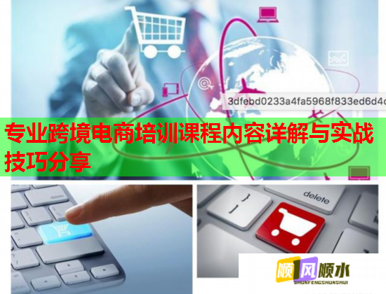 專業(yè)跨境電商培訓課程內容詳解與實戰(zhàn)技巧分享