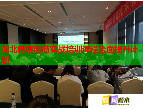 湖北跨境電商實戰(zhàn)培訓(xùn)課程全面提升計劃
