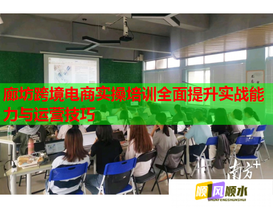 廊坊跨境電商實(shí)操培訓(xùn)全面提升實(shí)戰(zhàn)能力與運(yùn)營技巧