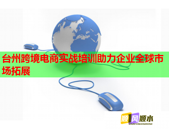 臺州跨境電商實戰(zhàn)培訓助力企業(yè)全球市場拓展