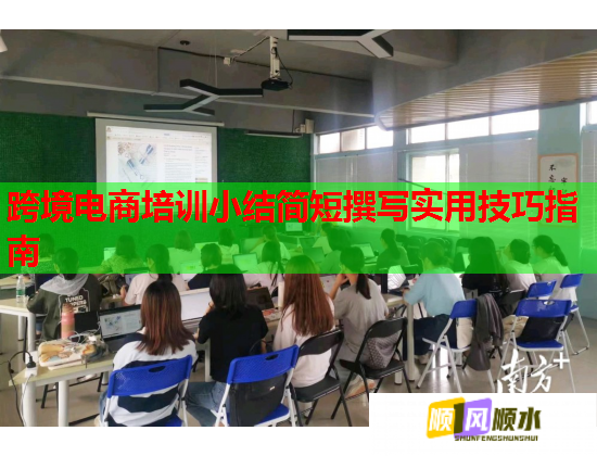 跨境電商培訓(xùn)小結(jié)簡短撰寫實用技巧指南