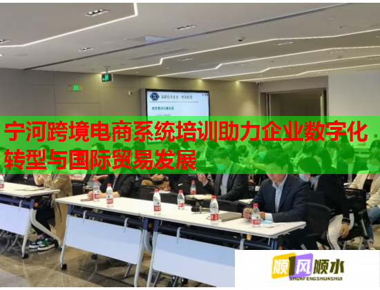 寧河跨境電商系統(tǒng)培訓助力企業(yè)數(shù)字化轉(zhuǎn)型與國際貿(mào)易發(fā)展