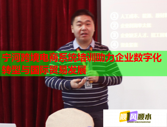 寧河跨境電商系統(tǒng)培訓助力企業(yè)數(shù)字化轉(zhuǎn)型與國際貿(mào)易發(fā)展