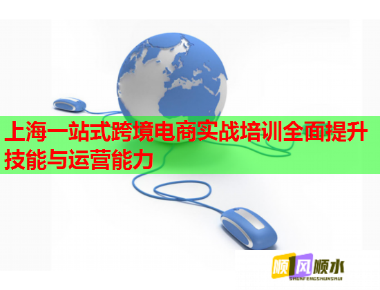 上海一站式跨境電商實戰(zhàn)培訓(xùn)全面提升技能與運(yùn)營能力