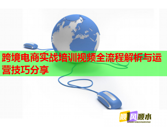 跨境電商實戰(zhàn)培訓(xùn)視頻全流程解析與運(yùn)營技巧分享