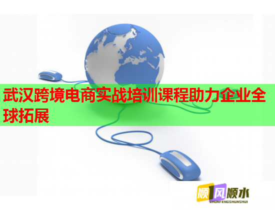 武漢跨境電商實戰(zhàn)培訓(xùn)課程助力企業(yè)全球拓展