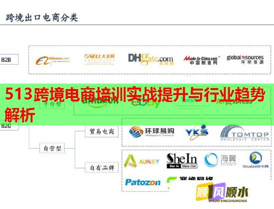 513跨境電商培訓(xùn)實(shí)戰(zhàn)提升與行業(yè)趨勢解析