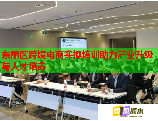 東麗區(qū)跨境電商實操培訓(xùn)助力產(chǎn)業(yè)升級與人才培養(yǎng)