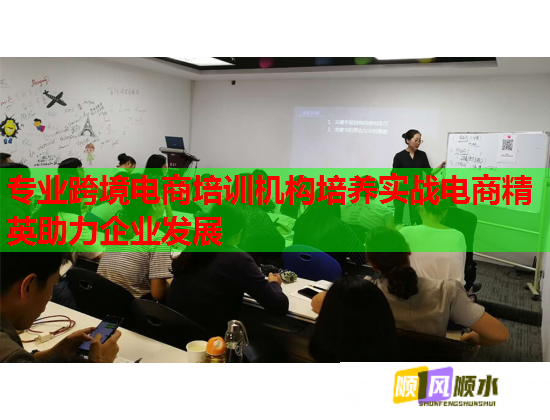 專業(yè)跨境電商培訓(xùn)機(jī)構(gòu)培養(yǎng)實戰(zhàn)電商精英助力企業(yè)發(fā)展