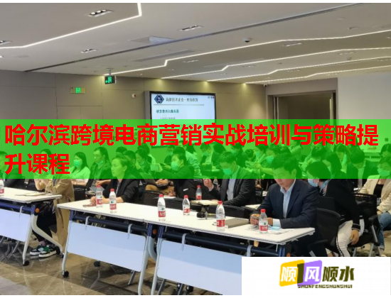 哈爾濱跨境電商營銷實(shí)戰(zhàn)培訓(xùn)與策略提升課程