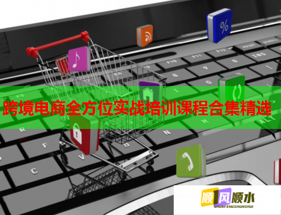 跨境電商全方位實戰(zhàn)培訓(xùn)課程合集精選