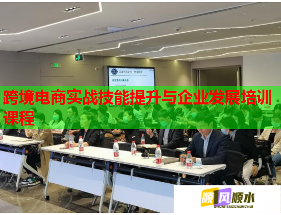跨境電商實(shí)戰(zhàn)技能提升與企業(yè)發(fā)展培訓(xùn)課程