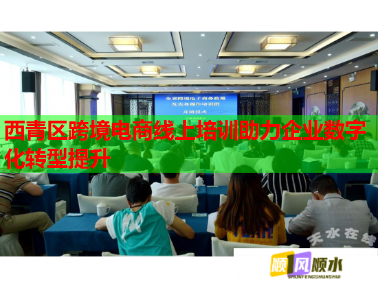 西青區(qū)跨境電商線上培訓(xùn)助力企業(yè)數(shù)字化轉(zhuǎn)型提升