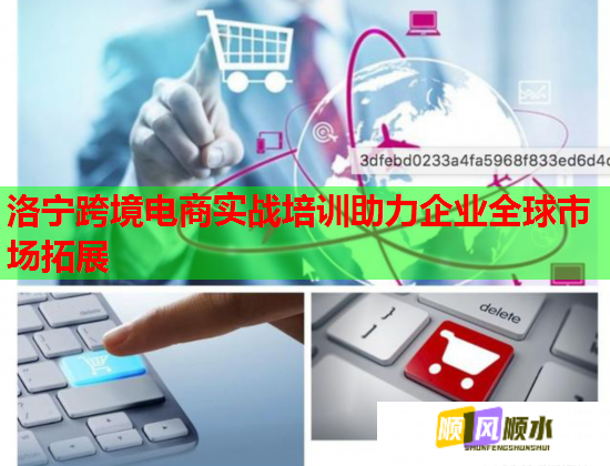 洛寧跨境電商實(shí)戰(zhàn)培訓(xùn)助力企業(yè)全球市場拓展