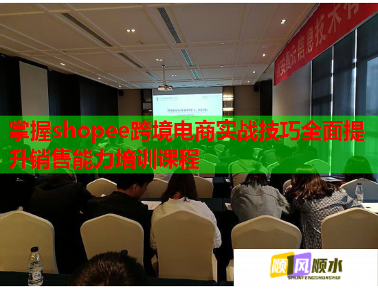 掌握shopee跨境電商實(shí)戰(zhàn)技巧全面提升銷售能力培訓(xùn)課程