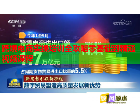 跨境電商實操培訓(xùn)全攻略零基礎(chǔ)到精通視頻課程