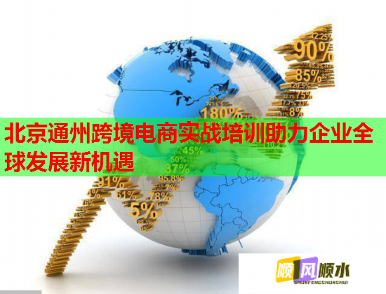 北京通州跨境電商實(shí)戰(zhàn)培訓(xùn)助力企業(yè)全球發(fā)展新機(jī)遇